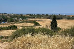 טיול לסופ"ש: אל גבעת התור