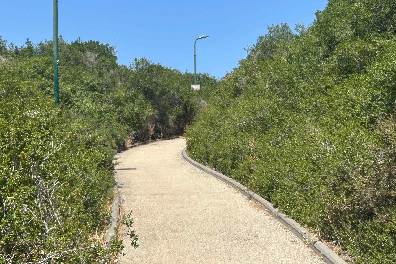 טיול לסופ"ש: אל גבעת התור
