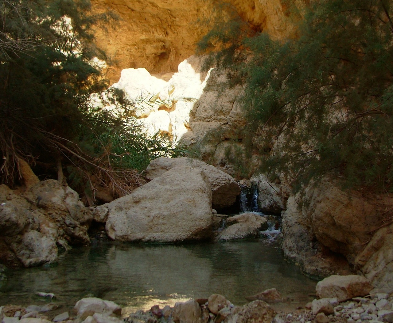 טיול לסופ"ש: אל עין בוקק