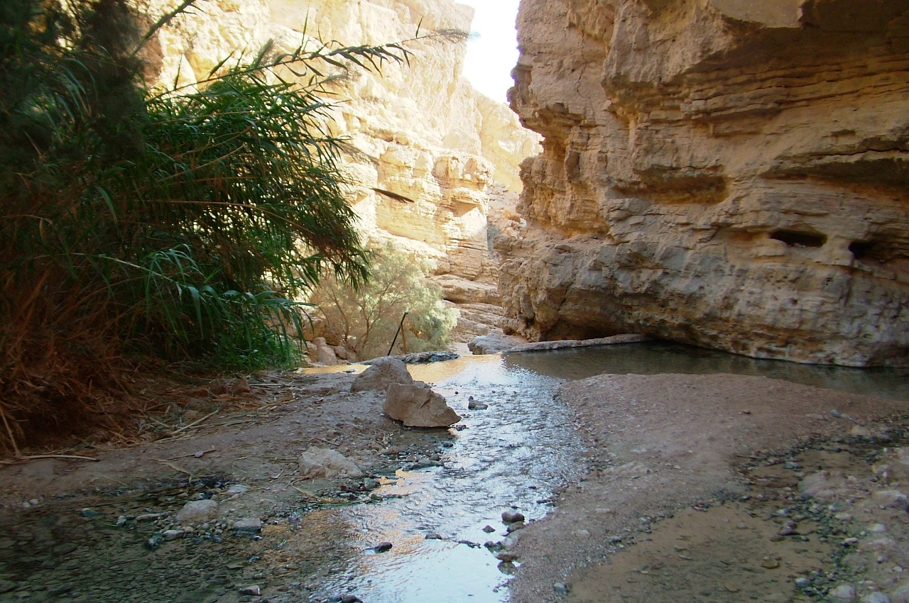 טיול לסופ"ש: אל עין בוקק