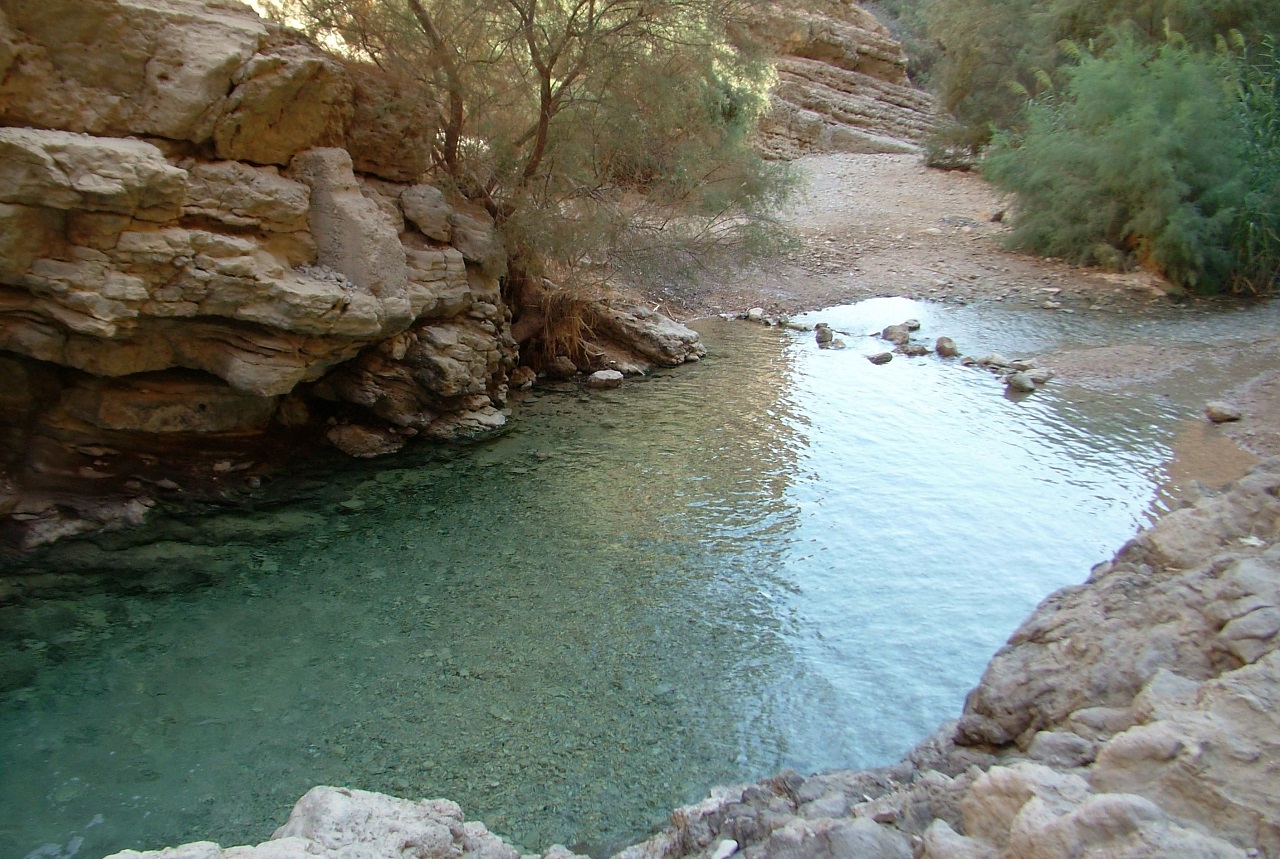 טיול לסופ"ש: אל עין בוקק