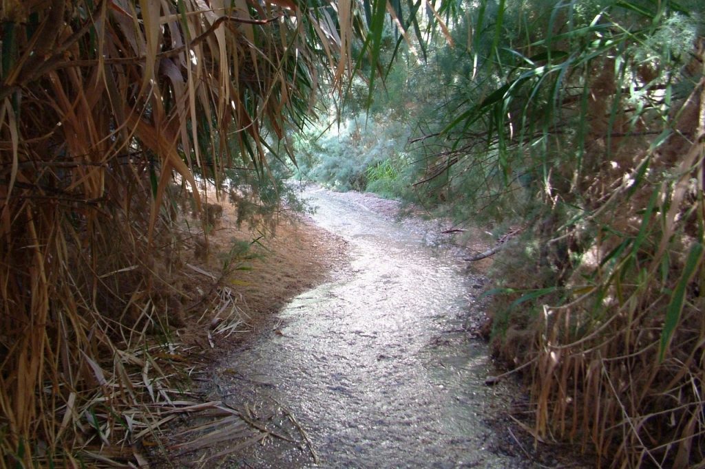 טיול לסופ"ש: אל עין בוקק