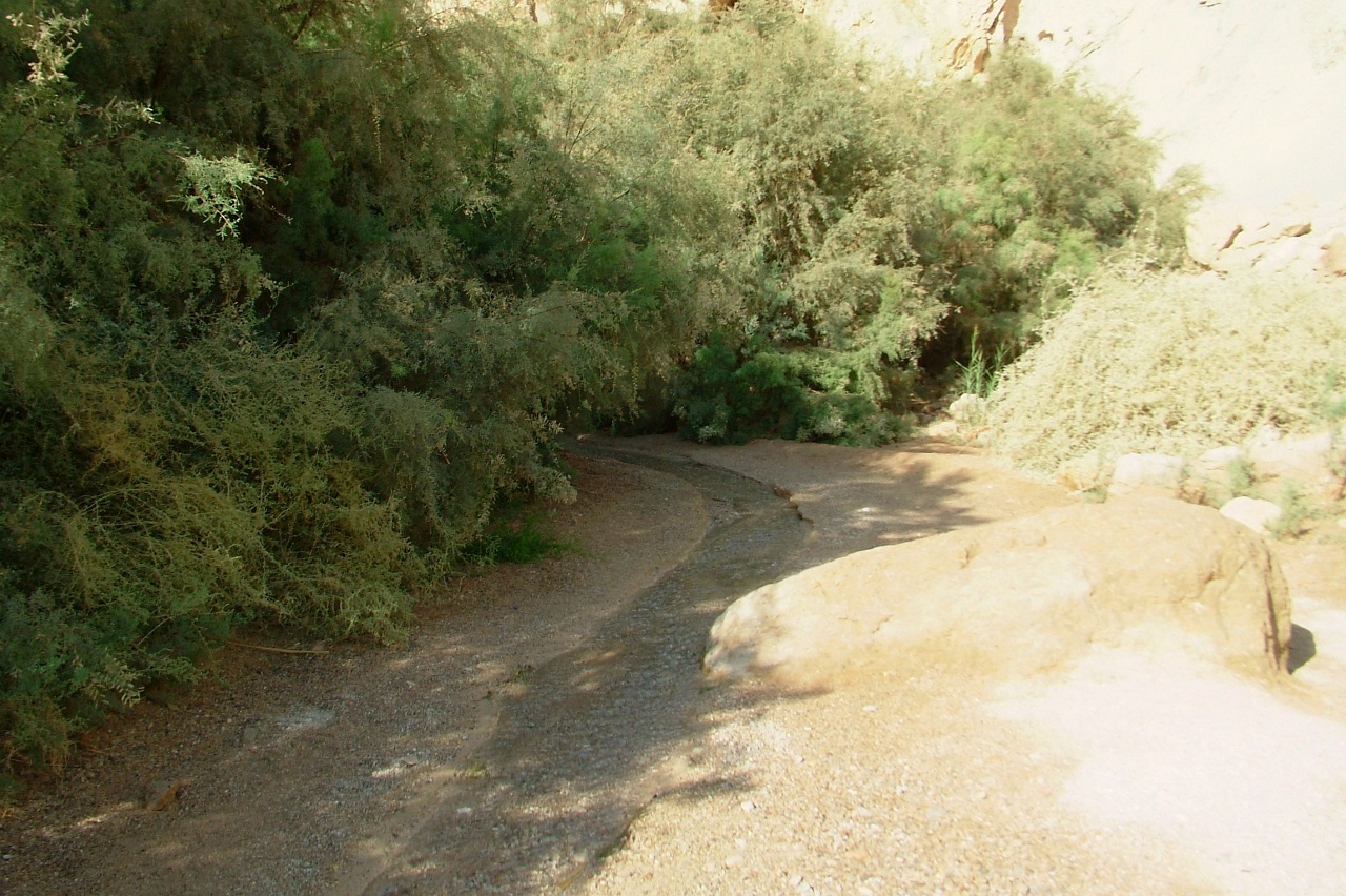 טיול לסופ"ש: אל עין בוקק