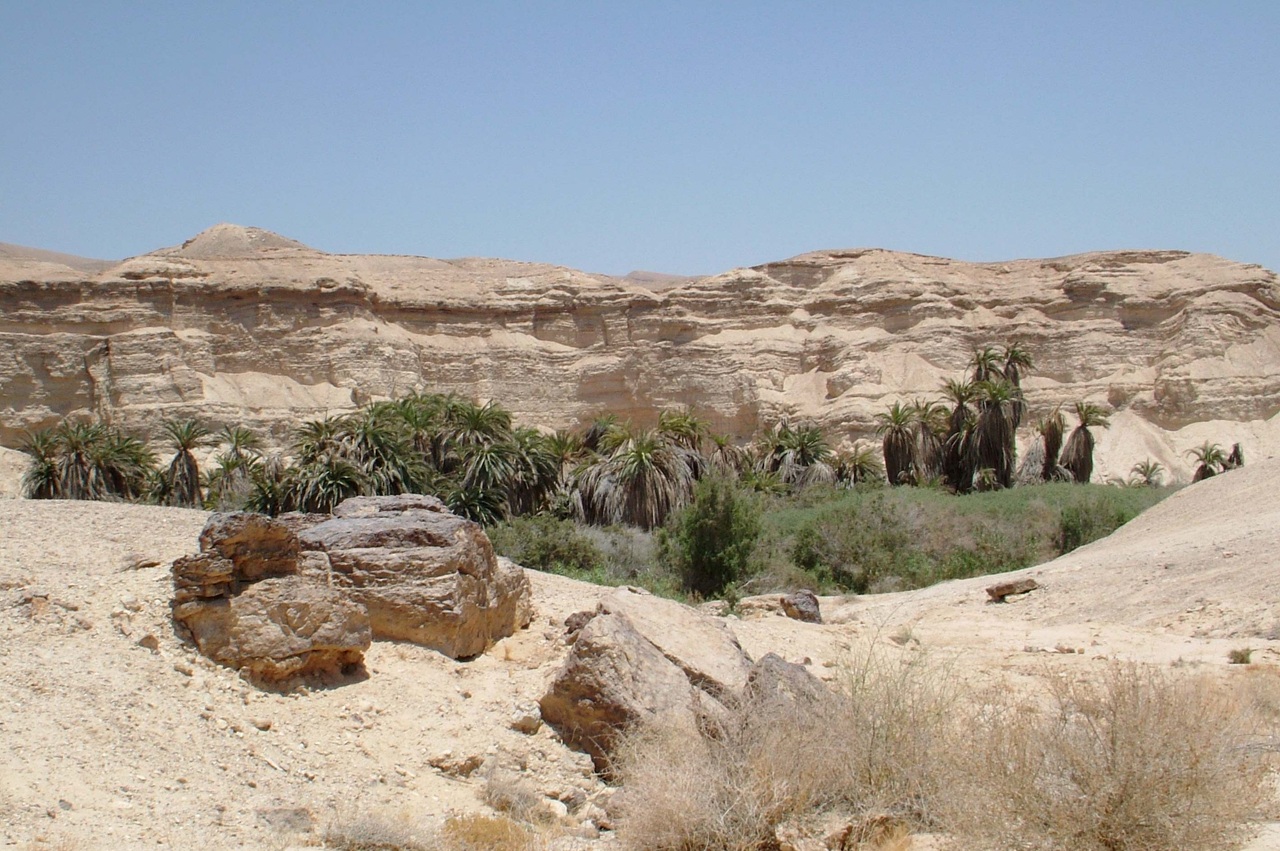 טיול לסופ"ש: אל המכתש הקטן ומעלה עקרבים