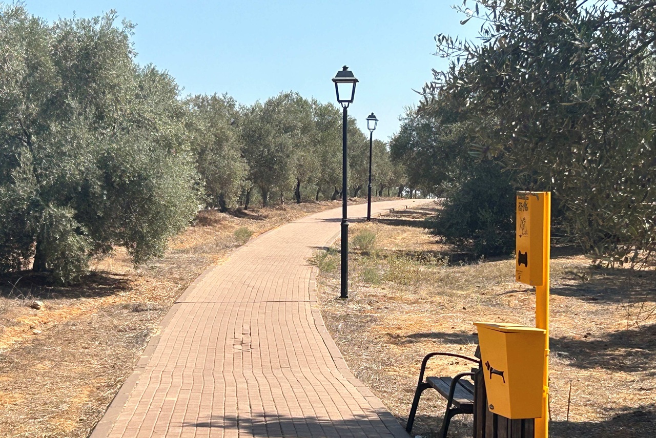 טיול לסופ"ש: אל המסיק ומסע בזמן בכרמי הזיתים
