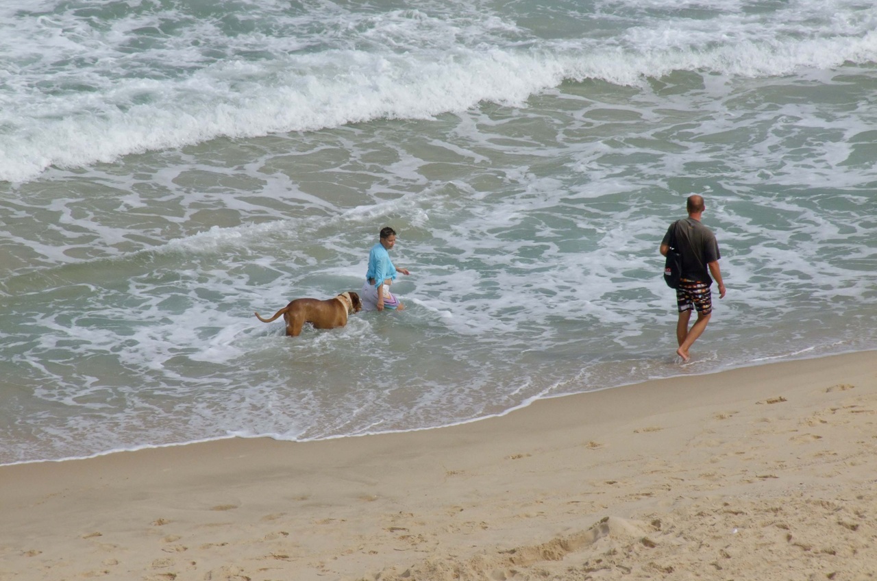 ואנחנו מחפשים בכל הזדמנות מקום בטוח לעצור בו לכמה רגעים כדי לרדת לחוף, לחוש את הרסס על הפנים, למלא את הריאות באוויר מלוח ולהשתאות לנוכח גלי הסערה 