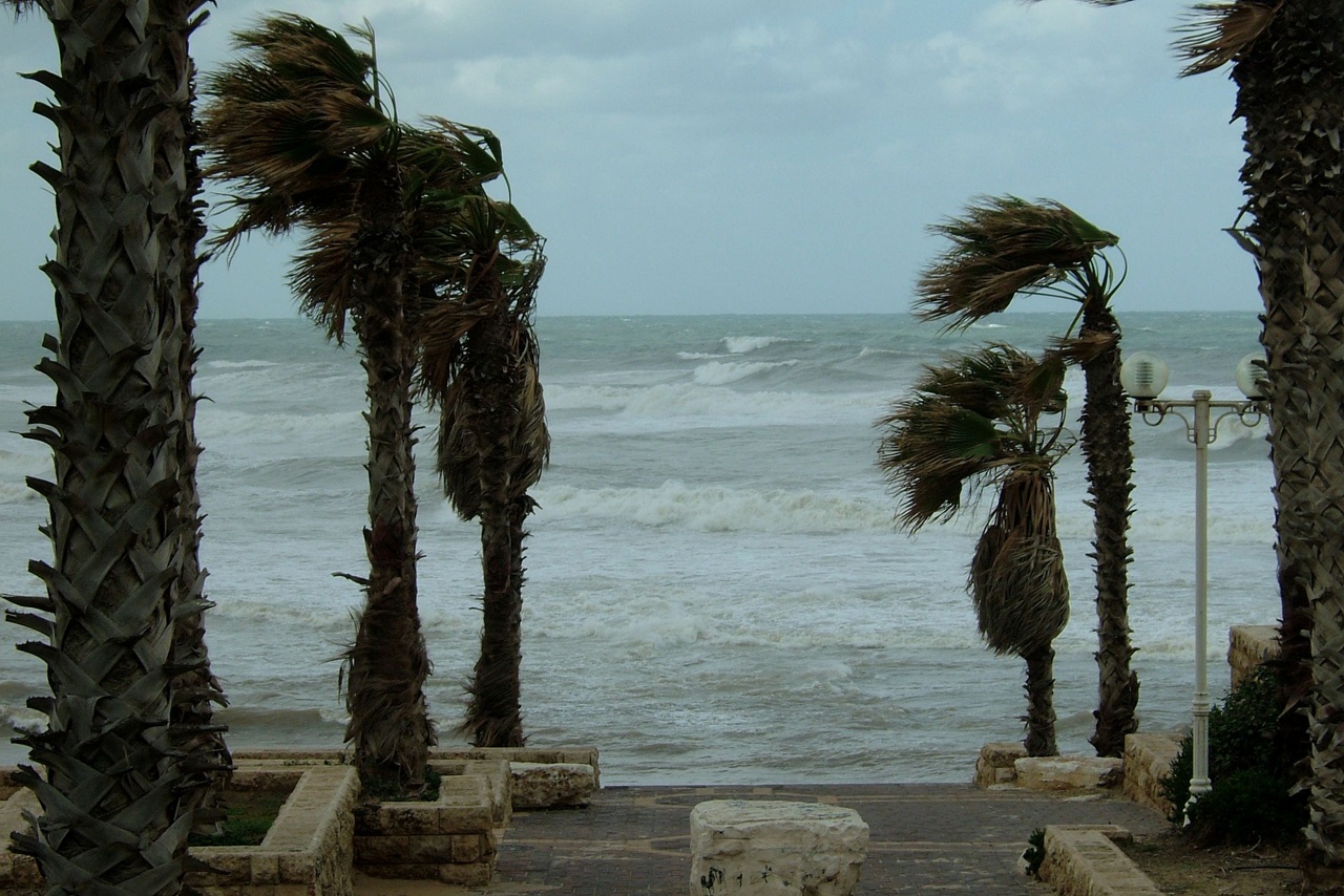 טיול לסופ"ש: אל רסס הגלים על חוף ים סוער