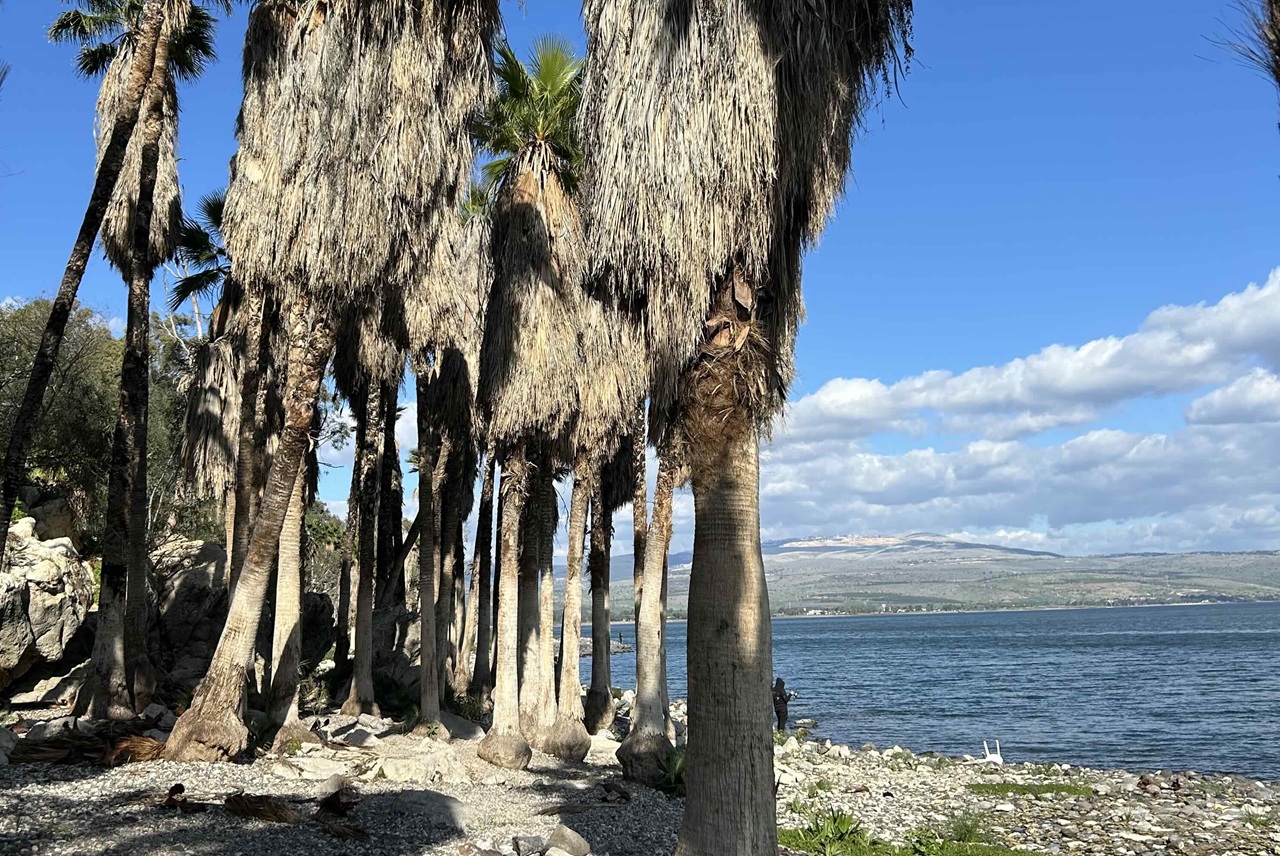 השטח נרכש במאה ה-19 על ידי הכנסייה הרוסית-פרבוסלאבית כדי למשוך לכאן צליינים נוצרים ולהציג בפניהם נופים שבהם התהלך המשיח