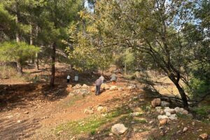 טיול לסופ"ש אל מפל שפר