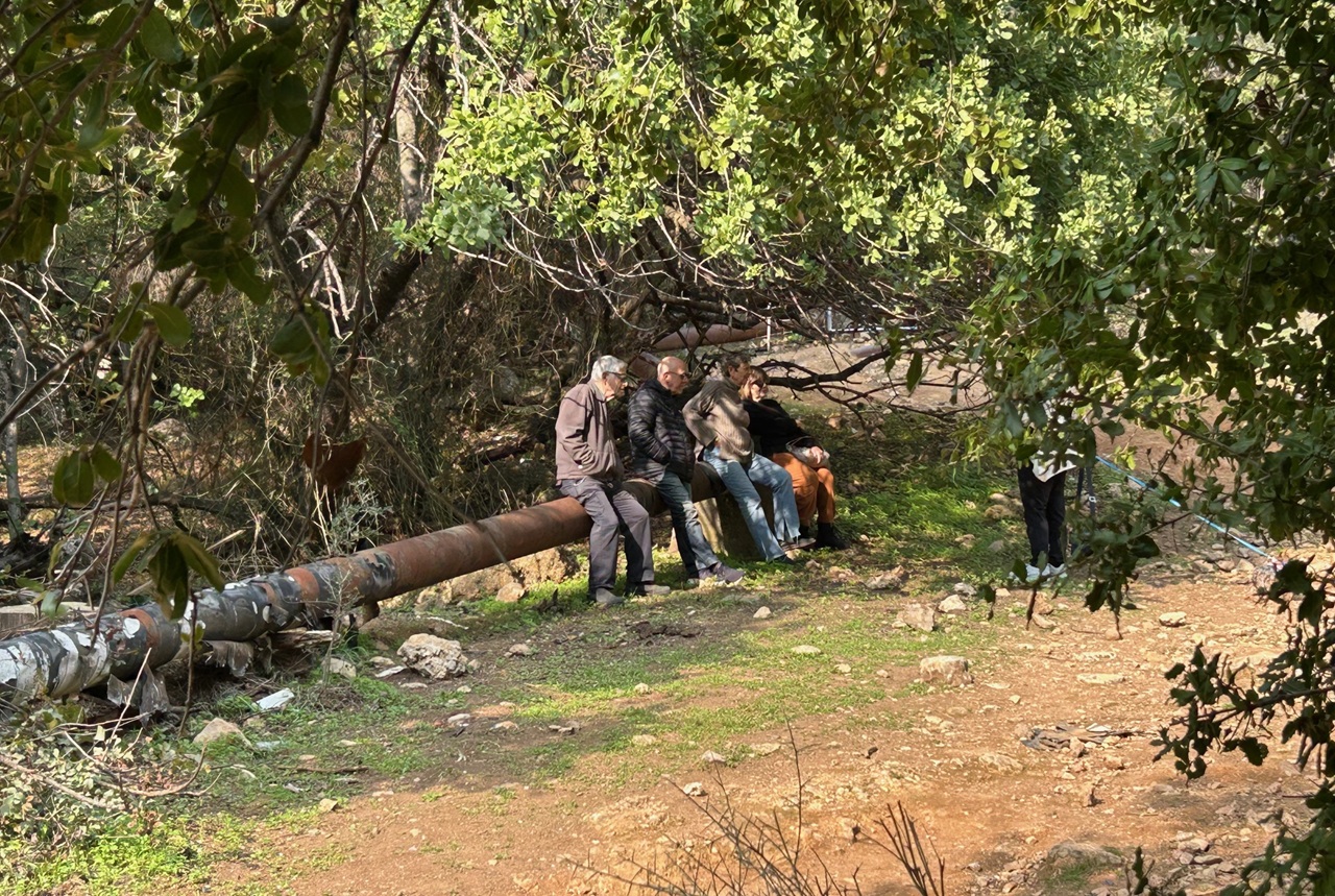 בחודשים ינואר-פברואר מתכסה תחתית היער במרבדי רקפות ואילו בשטחים הפתוחים פורחות כלניות במגוון צבעים – אדום, ורוד, לבן וסגול. בתך המים ועל הגדות תמצאו פטל קדוש ושערות שולמית.