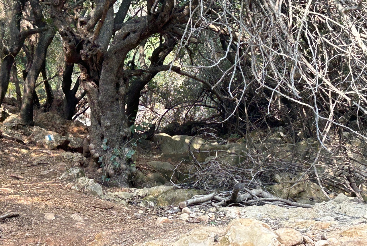 אחת מתופעות הטבע המרתקות בערוץ הנחל היא היווצרות של "נטיפי נחל": מטיילים בערוץ יבחינו באבן שנקראת טרוורטין (Travertine), ואלה סלעים עגולים, חלקים מאוד, בצבעי שמנת-צהבהב
