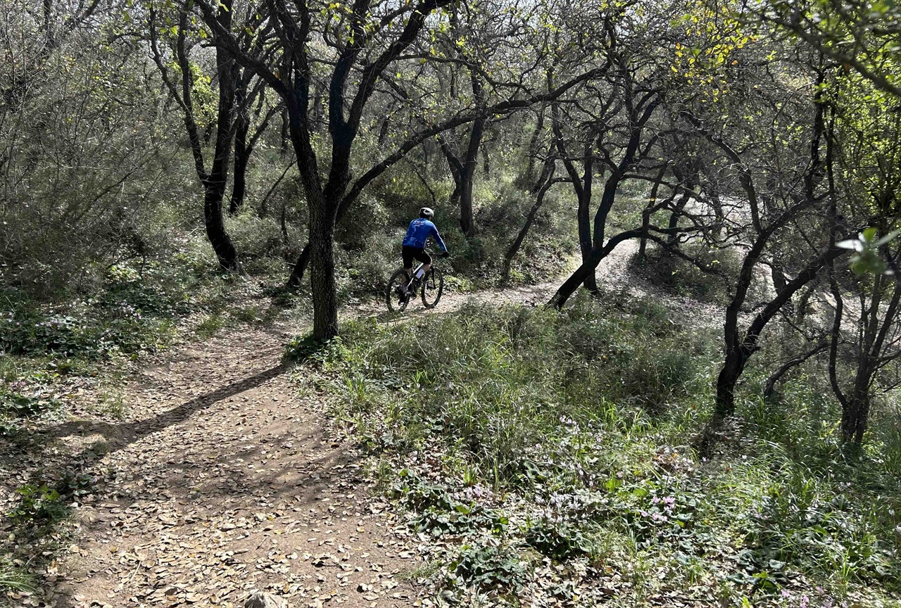 שמורת אלוני יצחק הוכרזה ככזאת בשנת 1969 במטרה לשמר את מעט האלונים שנותרו