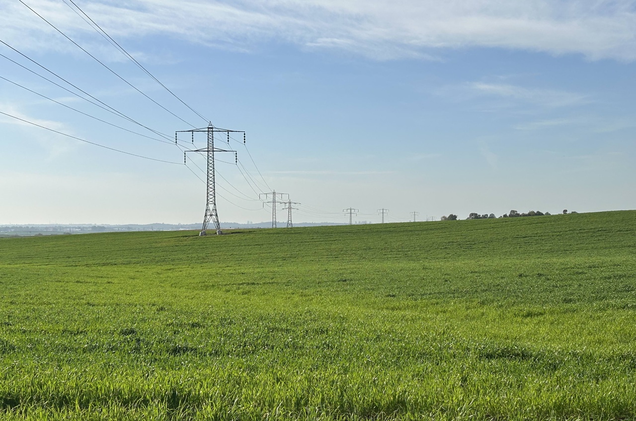 לאחר ביקור במאגר כדאי לטייל גם בדרכי הנוף של יער חולדה הסמוך, שם השבילים מוסדרים ויש עשרות מקומות לפיקניק ובילויים משפחתיים לצד הרכב.