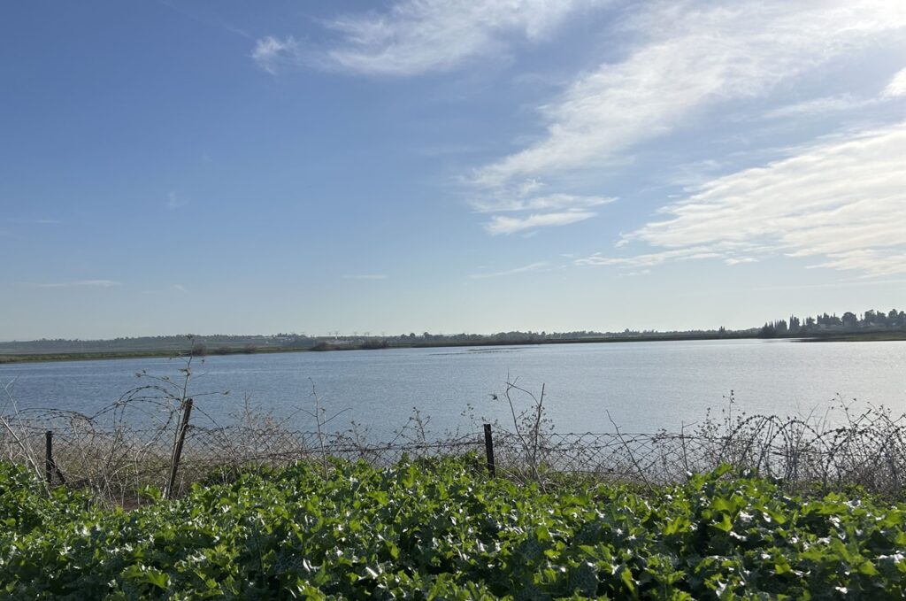 מאגר יסודות מלא עד גדוליו ומושך אליו אלפי ציפורים נודדות חלקן נדירות