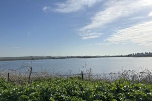 מאגר יסודות מלא עד גדוליו ומושך אליו אלפי ציפורים נודדות חלקן נדירות