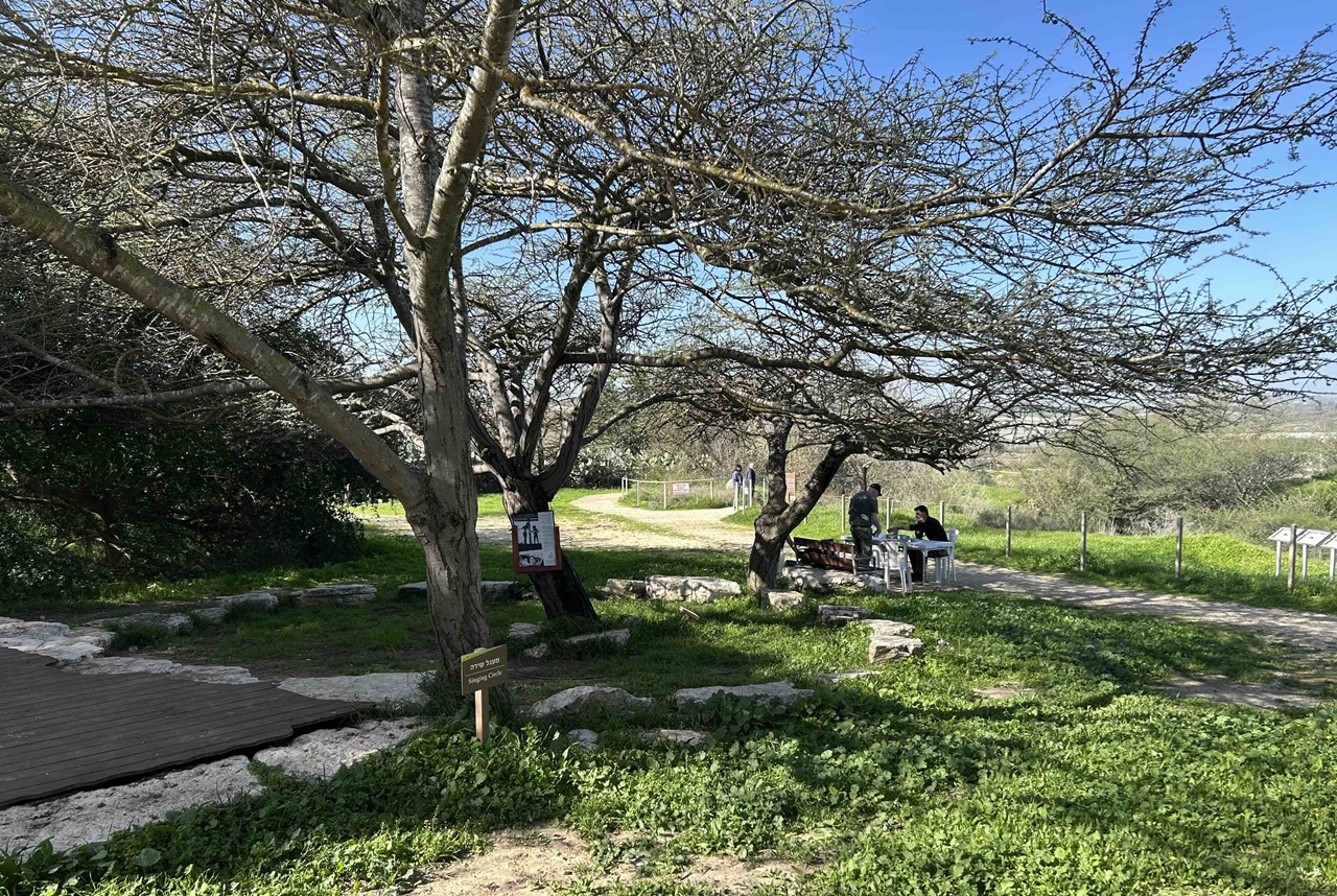 הגן הבוטני המרשים בקיבוץ נגבה הוקם בשנות ה־80 על ידי יואב קידר