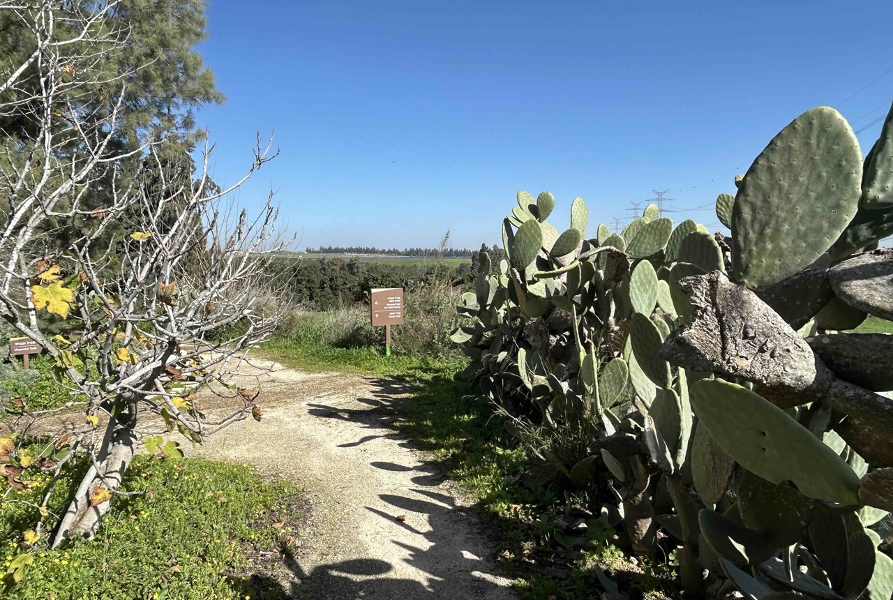 מספר הרב של הנופלים הביא באופן טבעי להקמת אתרי הנצחה נוספים ברחבי הארץ, החל מ'חורשת הנופלים' במושב שאר ישוב בסמוך למקום נפילת אחד משני המסוקים, דרך אנדרטאות לזכר הלוחמים בחיפה, בית ג'ן, מגדל העמק, בסיס 'בית ליד' ועוד