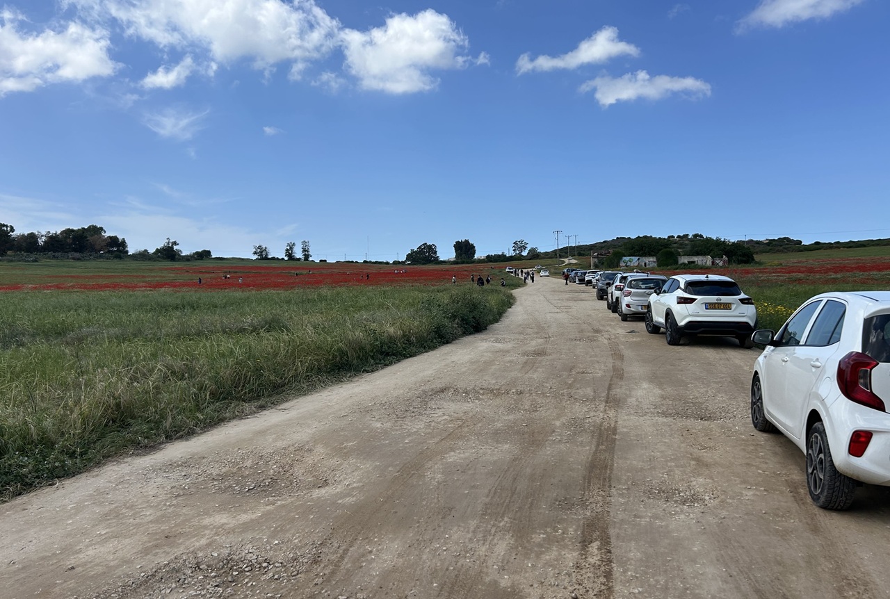 כמחווה לאימונים שערך שם אלון לקראת גיוסו יכול כל מי שמגיע למצפה להשתתף ב'אתגר אלון' - שילוב של ריצה וטיפוס.