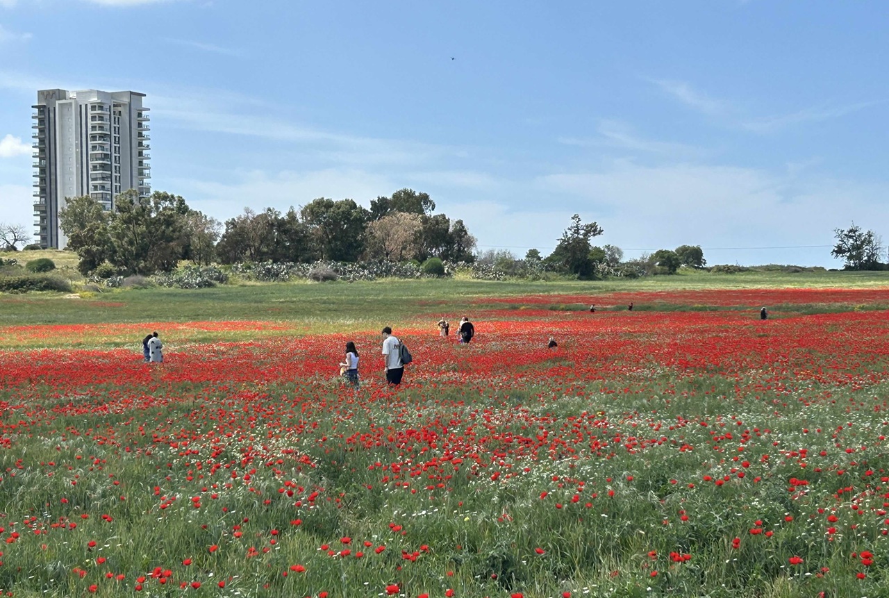 שתי ערים אלה הן בין אבני היסוד של ההתיישבות הציונית בארץ ישראל: נס ציונה נוסדה כ"נחלת ראובן" בשנת 1883 על-ידי ראובן לרר שרכש כ-2,000 דונם בוואדי חנין. רחובות נוסדה בשנת 1890 על-ידי עולים מפולין, וזו הייתה המושבה העשירית שהוקמה על-ידי בני העלייה הראשונה
