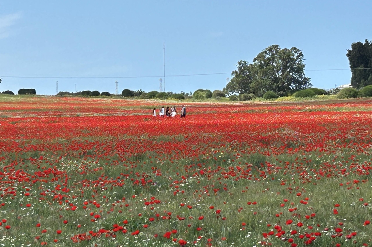 כמחווה לאימונים שערך שם אלון לקראת גיוסו יכול כל מי שמגיע למצפה להשתתף ב'אתגר אלון' - שילוב של ריצה וטיפוס.