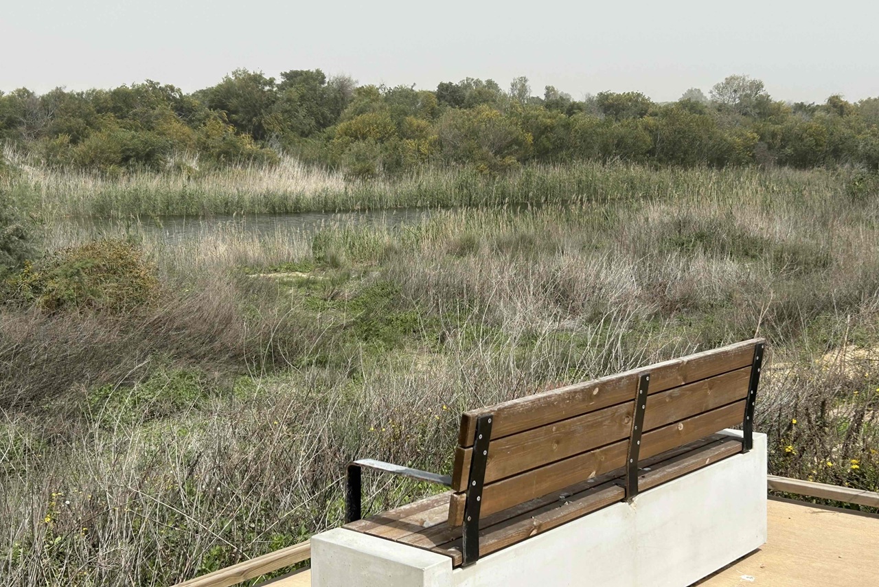 אזור זה ממש, בתל אל-חסי הסמוך, נערכה בשנת 1890 החפירה הארכאולוגית המודרנית הראשונה בארץ ישראל