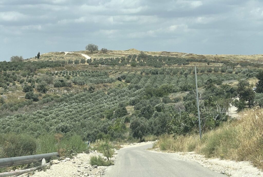 תל גזר מציע שילוב מושלם לטיול משפחתי קצר, עם שביל הליכה מעגלי, תצפיות נוף מרהיבות, סיפור היסטורי מרתק ולא פחות חשוב – כניסה שלא כרוכה בתשלום.