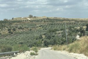 תל גזר מציע שילוב מושלם לטיול משפחתי קצר, עם שביל הליכה מעגלי, תצפיות נוף מרהיבות, סיפור היסטורי מרתק ולא פחות חשוב – כניסה שלא כרוכה בתשלום.