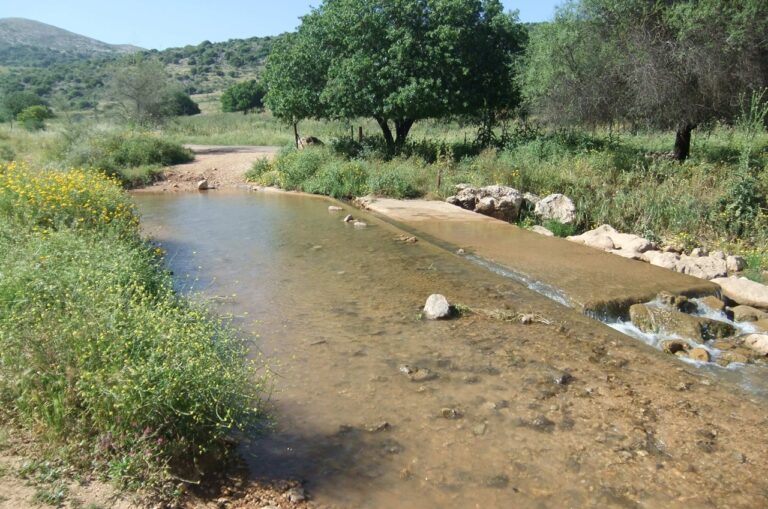טיול לסופ"ש: אל כבישי הנהיגה של הגליל העליון
