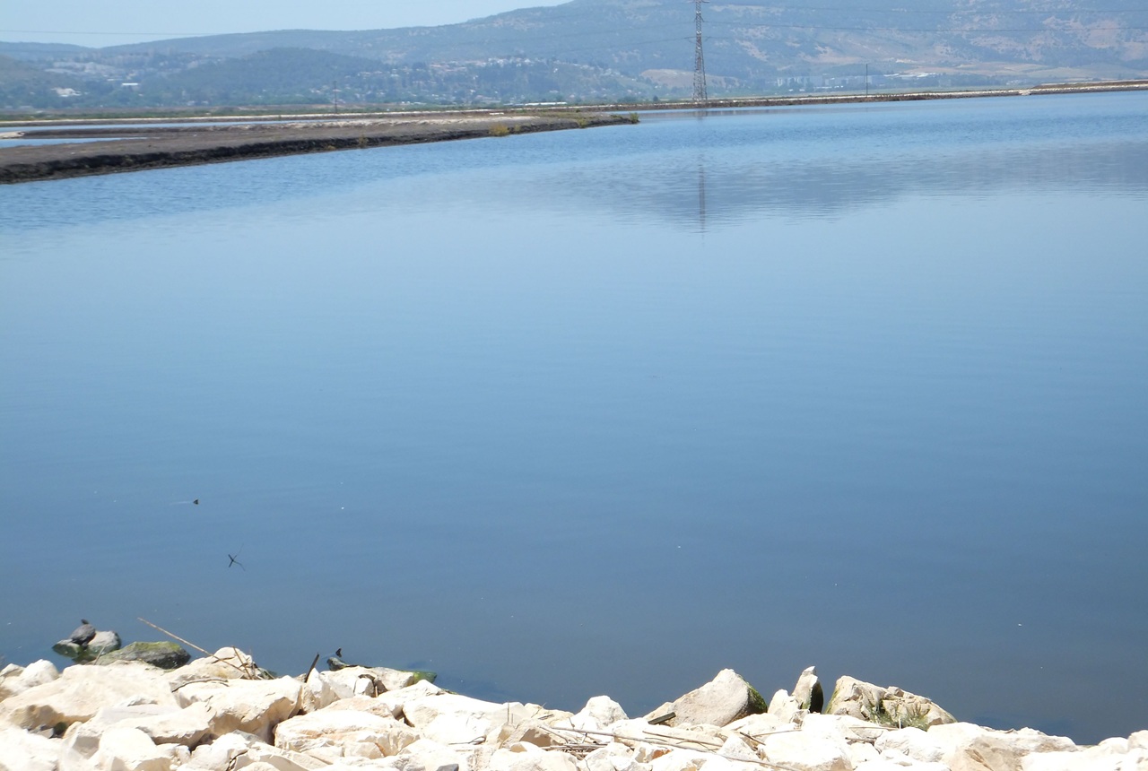 זה גן עדן לחובבי צפרות בזכות עושר ושפע של עופות מים, בהם גם מינים בסכנת הכחדה