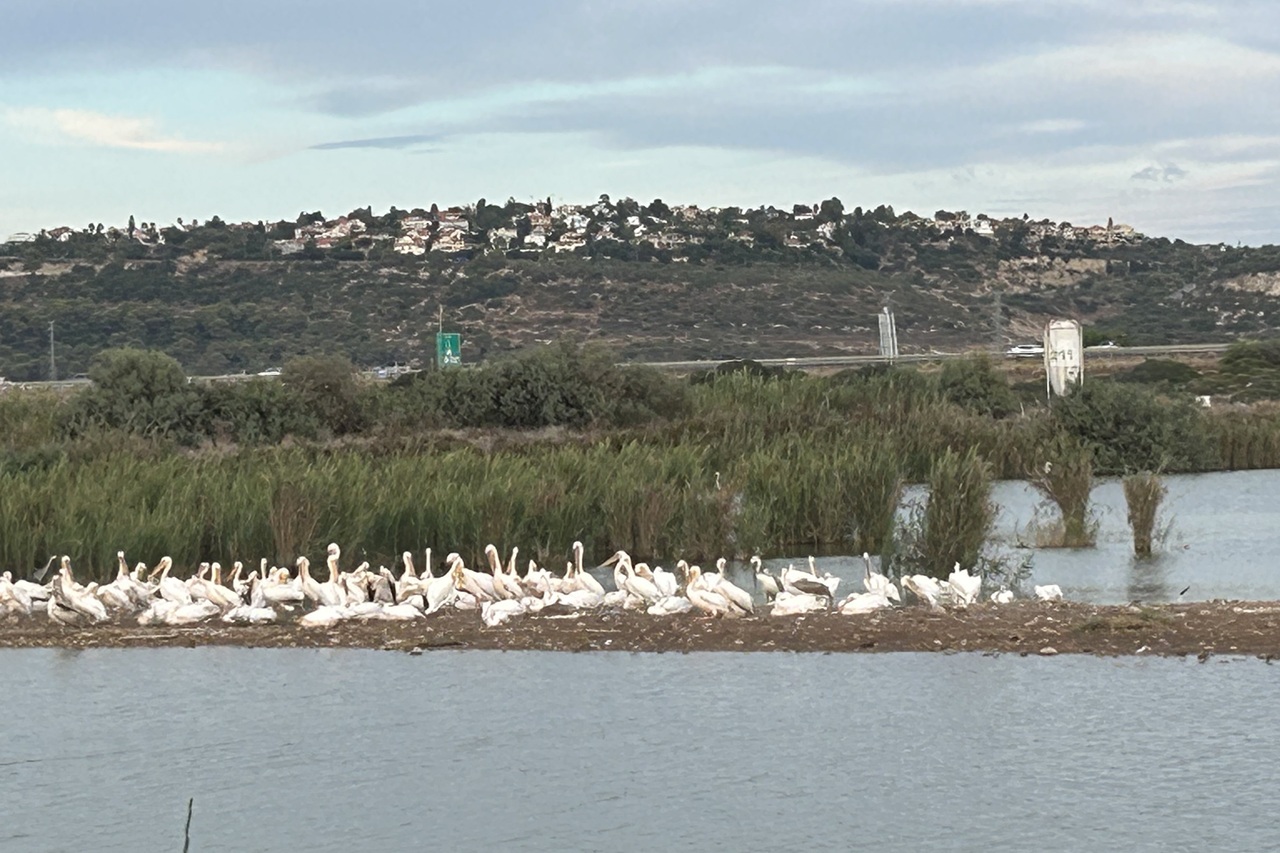 זה מסוג המפגשים שמזכירים מדוע כדאי לפעמים לצאת מהבית בספונטאניות ובלי תוכנית
